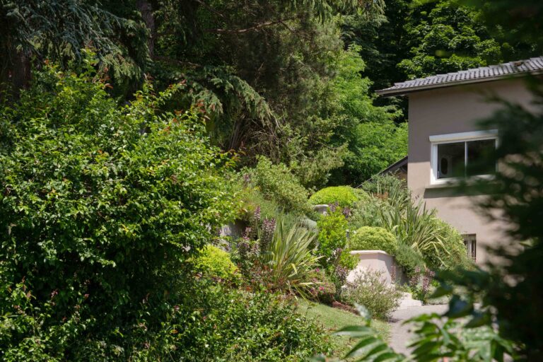 UNE ENTREE SECRETE LES MONTS D'OR